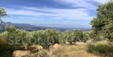 Second-Chance Τίτλος : Πωλείται οικόπεδο άρτιο και οικοδομήσιμο συνολικής έκτασης 35.000,00 τ.μ στο χωρίο Αγίο Σύλλα το οποίο βρίσκεται βόρεια του Νομού Ηρακλείου Κρήτης. Τιμή Πώλησης 350.000,00 ευρώ . Τιμή διαπραγματεύσιμη.