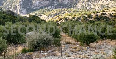 Second-Chance Πωλείται Χωράφι 5822,46τμ. με 130 ρίζες ελιές στην περιοχή Δέρματος Δήμου Βιάννου Νομού Ηρακλείου Τιμή Πώλησης 30.000,00 ευρώ Τιμή Διαπραγματεύσιμη