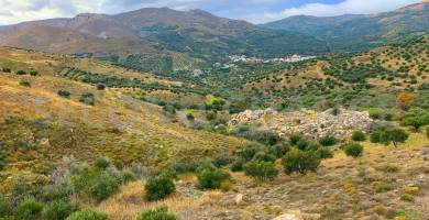 Second-Chance Πωλείται Χωράφι με 30ρίζες ελιές έκτασης 10.000,00 τ.μ στην περιοχή Χόνδρου Δήμου Βιάννου Νομού Ηρακλείου Τιμή Πώλησης 5.000,00 Τιμή Διαπραγματεύσιμη