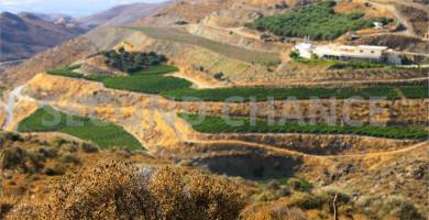 Second-Chance Πωλείται γεωργική έκταση 500.000,00 τ.μ στην περιοχή Λέντας Νότια του Ηρακλείου της Κρήτης .