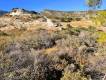 A plot of land for sale near the sea of 6,000.00 sq.m in the area of Psari Forada South of Heraklion, Crete. Country Greece (4)