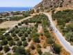 A plot of land for sale within a settlement very close to the sea with a surface area of 844.00 sq.m in the area of Sidonia (Psari Forada) - Viannos Municipality - Heraklion Prefecture (4)