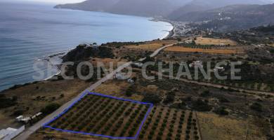 Second-Chance Πωλείται παραθαλάσσιο οικόπεδο εκτός οικισμού 4.007,84 τ.μ στην περιοχή Κρασσάς - Τσούτσουρα – Δήμου Καστελιανών - Ν. Ηρακλείου