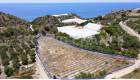 A plot of land for sale very close to the sea with an area of 4,297.35 sq.m in the area of Tertsa South of Heraklion, Crete (4)