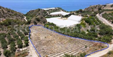 Second-Chance Πωλείται οικόπεδο-αγροτεμάχιο πολύ κοντά στην θάλασσα εκτάσεως 4.297,35 τ.μ στην περιοχή Τέρτσα Νότια του Ηρακλείου Κρήτης . Χώρα Ελλάδα . Τιμή πώλησης 60.000,00 ευρώ .