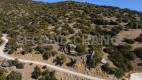 An even and buildable plot of land of 4.000 sq.m.  in the area of Listis - Viannos District - Heraklion Prefecture for sale (4)