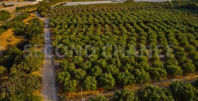 Second-Chance ΠΟΥΛΗΘΗΚΕ Αγροτεμάχιο εκτός οικισμού επιφάνειας 3900,37τ.μ στην περιοχή Δέρματο – Δ. Βιάννου – Ν. Ηρακλείου . Χώρα Ελλάδα.
