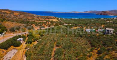 Second-Chance Πωλείται οικόπεδο άρτιο και οικοδομήσιμο εκτάσεως ~ 12.000,00 τ.μ στην περιοχή Κουρεμένου Δήμου Σητείας στο Ανατολικότερο άκρο της Κρήτη . Χώρα Ελλάδα . Τιμή πώλησης 1.000.000,00 ευρώ . Τιμή Διαπραγματεύσιμη.