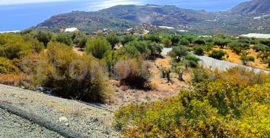 Second-Chance Πωλείται οικόπεδο έκτασης περίπου 1600 τ.μ στην περιοχή «Σκινόλακι» κοινότητας Καλαμίου– Δ. Βιάννου – Ν. Ηρακλείου Κρήτης . Χώρα Ελλάδα. Τιμή πώλησης 60.000 ευρώ
