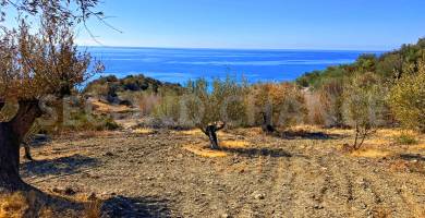 Second-Chance Πωλείται οικόπεδο πολύ κοντά στην θάλασσα έκτασης 4186,72 τ.μ στην περιοχή Κάτω Φλέγα Καστρί – Δ. Βιάννου – Ν. Ηρακλείου Κρήτης - Χώρα Ελλάδα. Μοναδικό ακίνητο λόγω του ότι βρίσκεται ακριβώς πάνω από το λιμάνι στο Καστρί – Κερατόκαμπος. Τιμή πώλησης 160.000,00 ευρώ .
