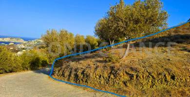 Second-Chance Πωλείται οικόπεδο συνολικής επιφάνειας 2423,15 τ.μ τ.μ στην περιοχή Αγία Πελαγία θέση “Βούρτση” – Ν. Ηρακλείου Κρήτης χώρα Ελλάδα . Τιμή πώλησης 300.000 ευρώ διαπραγματεύσιμη.