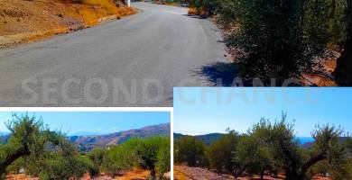 Second-Chance Πωλείται οικόπεδο 341,03 τ.μ στη θέση Άνω Βίγλα ανάμεσα στους οικισμούς Ψαρή Φοράδας και Τέρτσα – Νότια του Ν. Ηρακλείου – Κρήτη – Χώρα Ελλάδα . Τιμή Πώλησης 40.000 ευρώ.