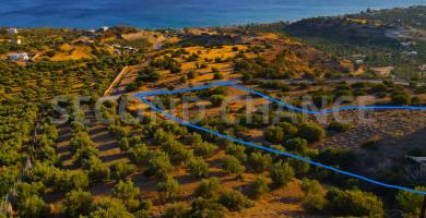 Second-Chance Πωλείται οικόπεδο άρτιο και οικοδομήσιμο επιφάνειας 4.008,14 τ.μ πολύ κοντά στην θάλασσα στην περιοχή Κερατόκαμπου – Δ. Βιάννου – Ν. Ηρακλείου Κρήτης – Ελλάδα. Τιμή πώλησης 160.000,00Τιμή Διαπραγματεύσιμη.