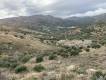 Field for sale with 30 olive trees of 10,000.00 sq.m. in the area of ​​Chondros, Municipality of Viannos, Prefecture of Heraklion. Sale Price: 5,000.00. Price Negotiable (4)