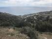 For Sale: Buildable plot of land with a total area of ​​6,500.00 sq.m. in the area of ​​Kastri, Municipality of Viannos, Prefecture of Heraklion. Sale Price: 50,000.00 euros. Price Negotiable (4)