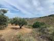 An even and buildable plot of land for sale with a total area of 35,000.00 sq.m in the village of Agios Sylla, which is located north of the Prefecture of Heraklion, Crete. Sale price 350,000.00 euros, price negotiable. 35°14'43.29