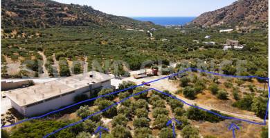 Second-Chance Πωλείται οικόπεδο εντός οικισμού κοντά στην θάλασσα επιφάνειας 2.683,28 τ.μ στην περιοχή Σιδωνίας (Ψαρή Φοράδα) Καλαμίου – Δ. Βιάννου – Ν. Ηρακλείου . Χώρα Ελλάδα. Τιμή πώλησης 30.000,00 ευρώ .