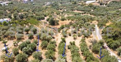 Second-Chance Πωλείται οικόπεδο εντός οικισμού κοντά στην θάλασσα επιφάνειας 1.306,50 τ.μ στην περιοχή Σιδωνίας (Ψαρή Φοράδα) – Δ. Βιάννου – Ν. Ηρακλείου